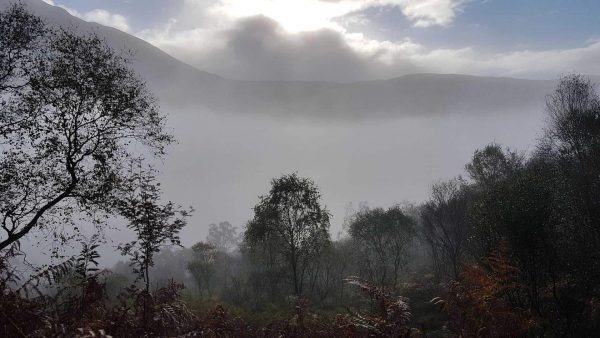 A misty autumn morning looking across scrubby birch woods down towards Loch Etive