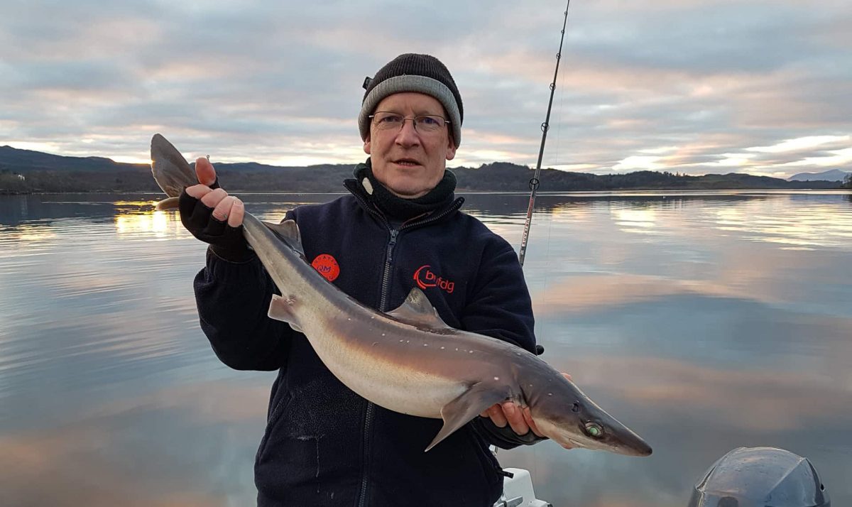 A double figure spurdog taken late December from Loch Etive