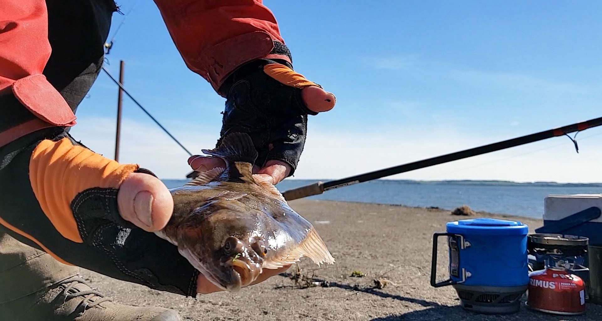 A small flounder from the Cree estuary, Galloway