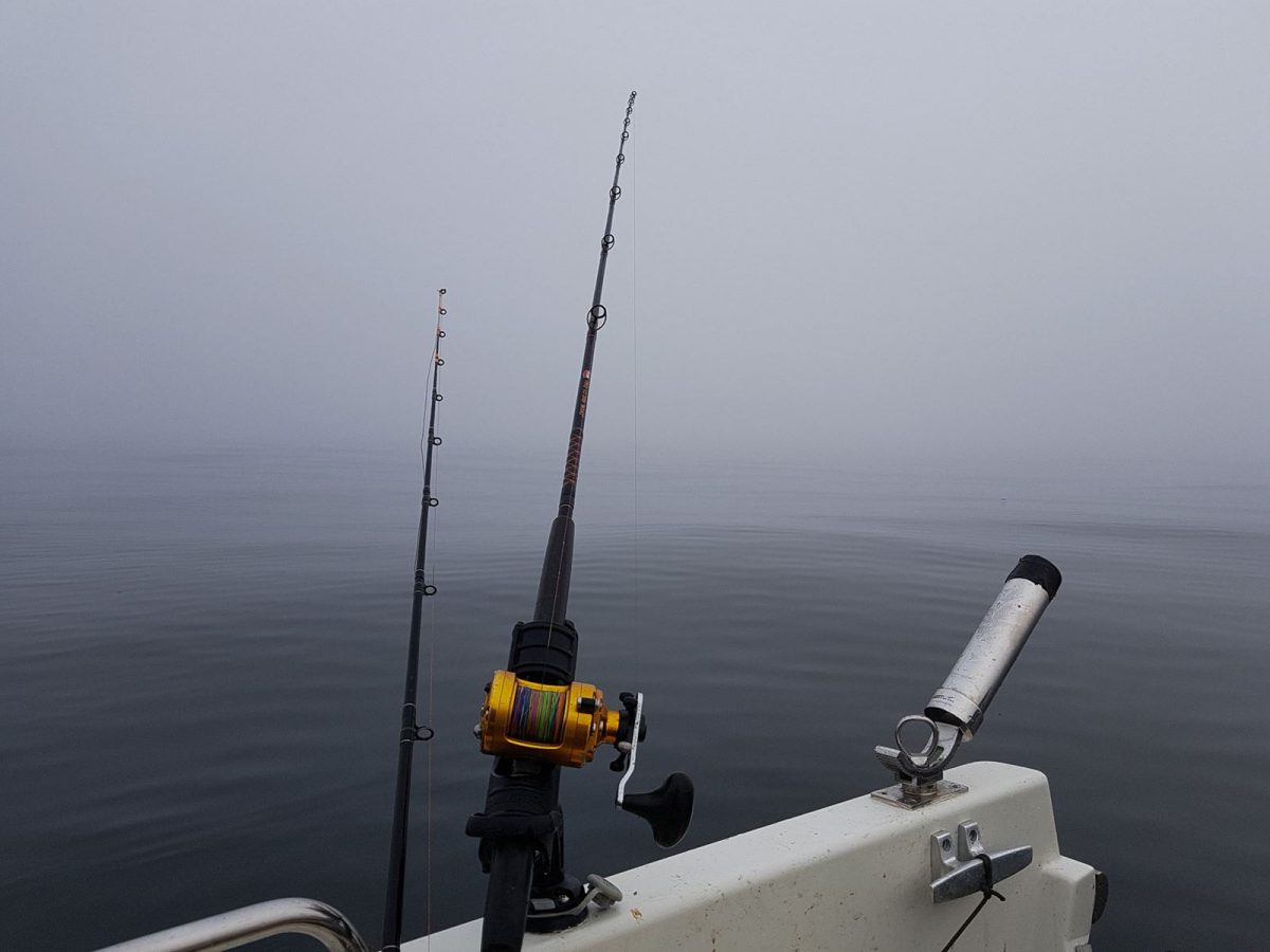 Thick fog cuts visibility to a few tens of metres a few miles off Dunbar.