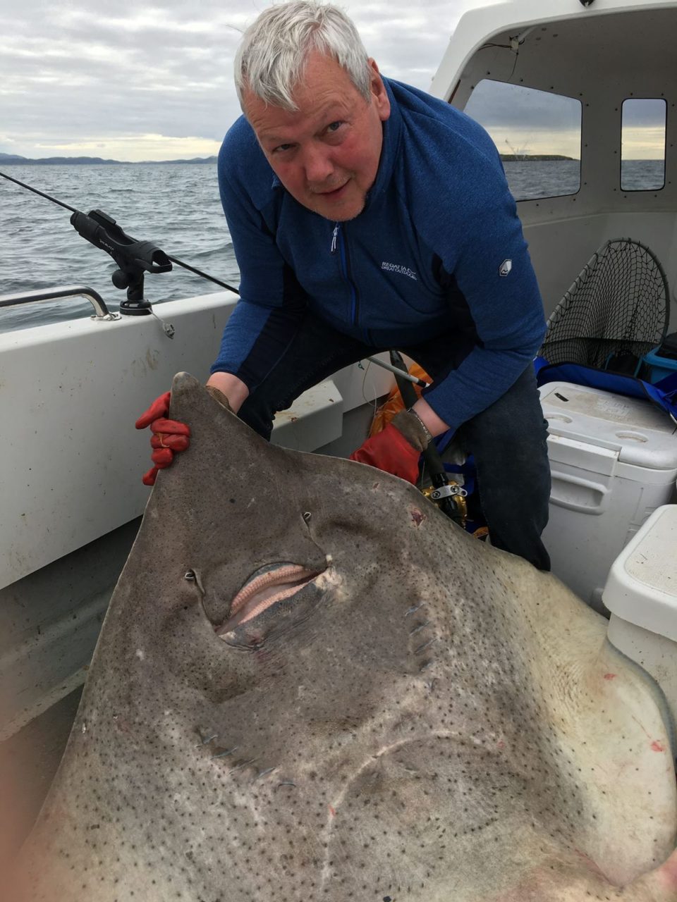 Ian with a large female skate caught off Oban