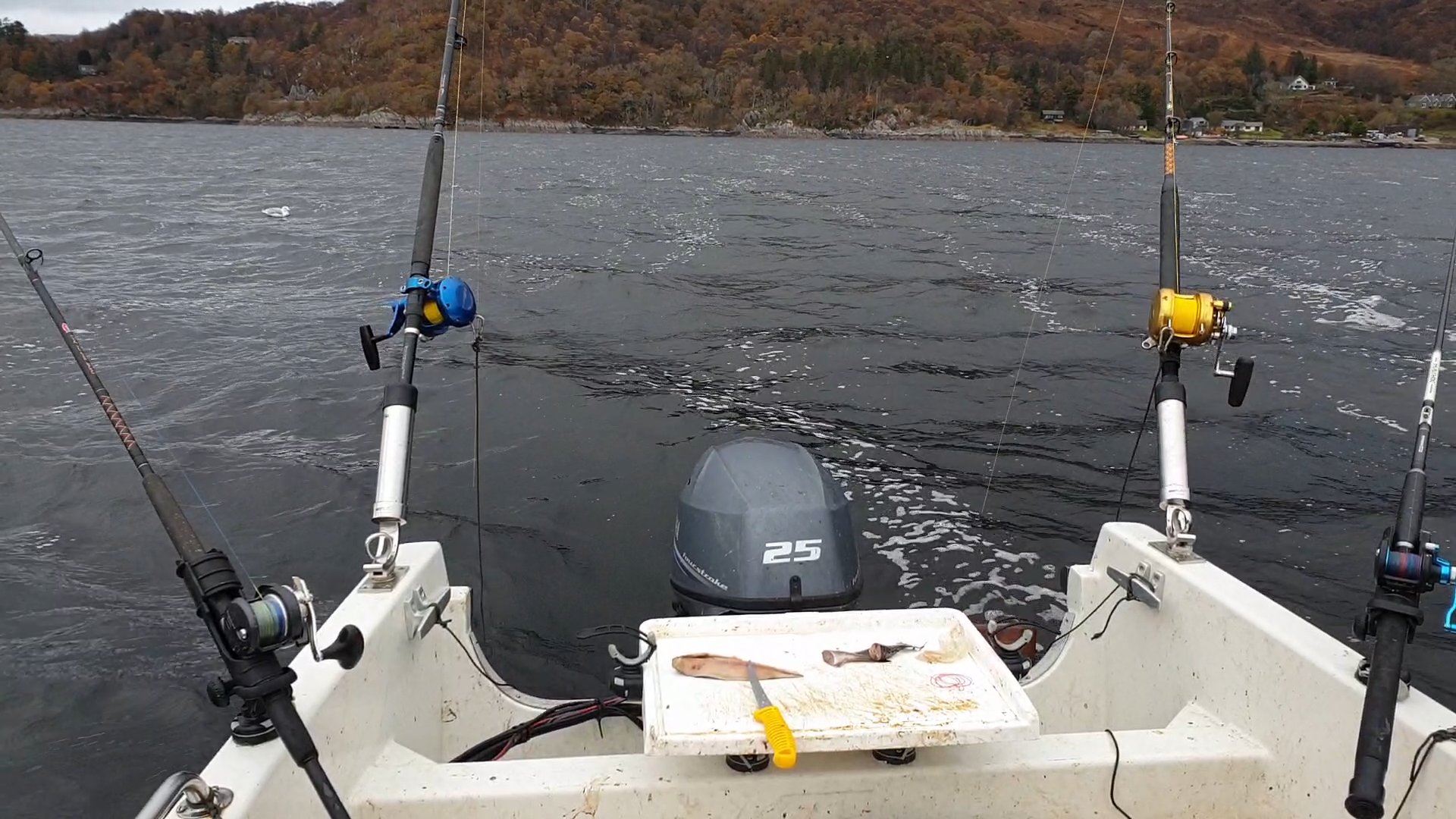 Fishing Loch Sunart - Corkwing