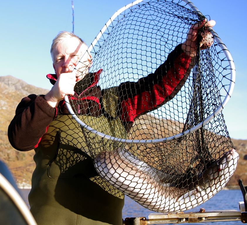 A typical conger eel from the Laga Bay area