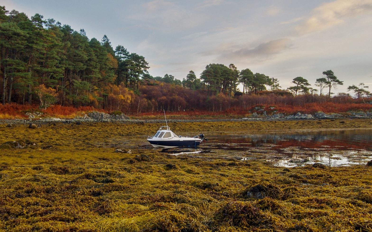 My Warrior 165 anchored amongst thick weed in the ancient hidden Viking harbour of Dun Ghallain ("Fort of the Storms") on Loch Sunart.